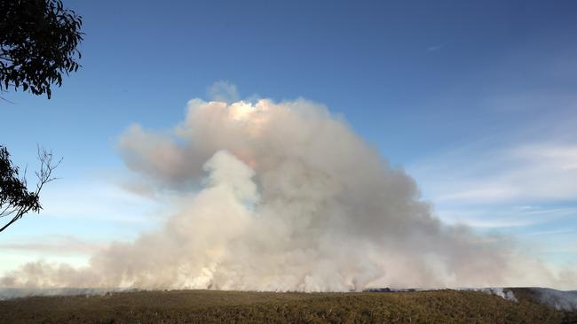 A hazard reduction burn in the Royal National Park at Sutherland earlier this week. Picture: Richard Dobson