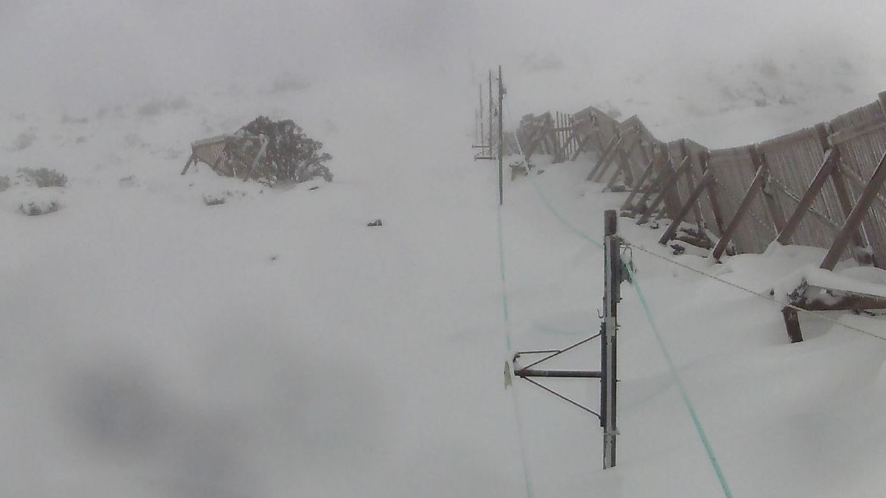 Snow at Mt Mawson. Picture: Mt Mawson webcam