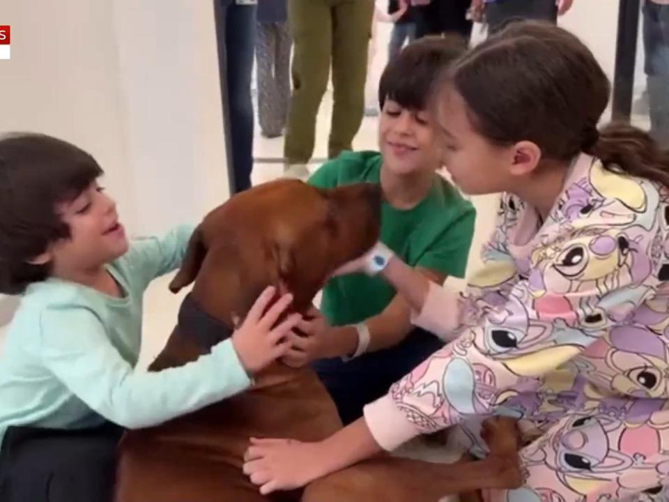 Heartwarming moment Israeli children held by Hamas reunite with family dog