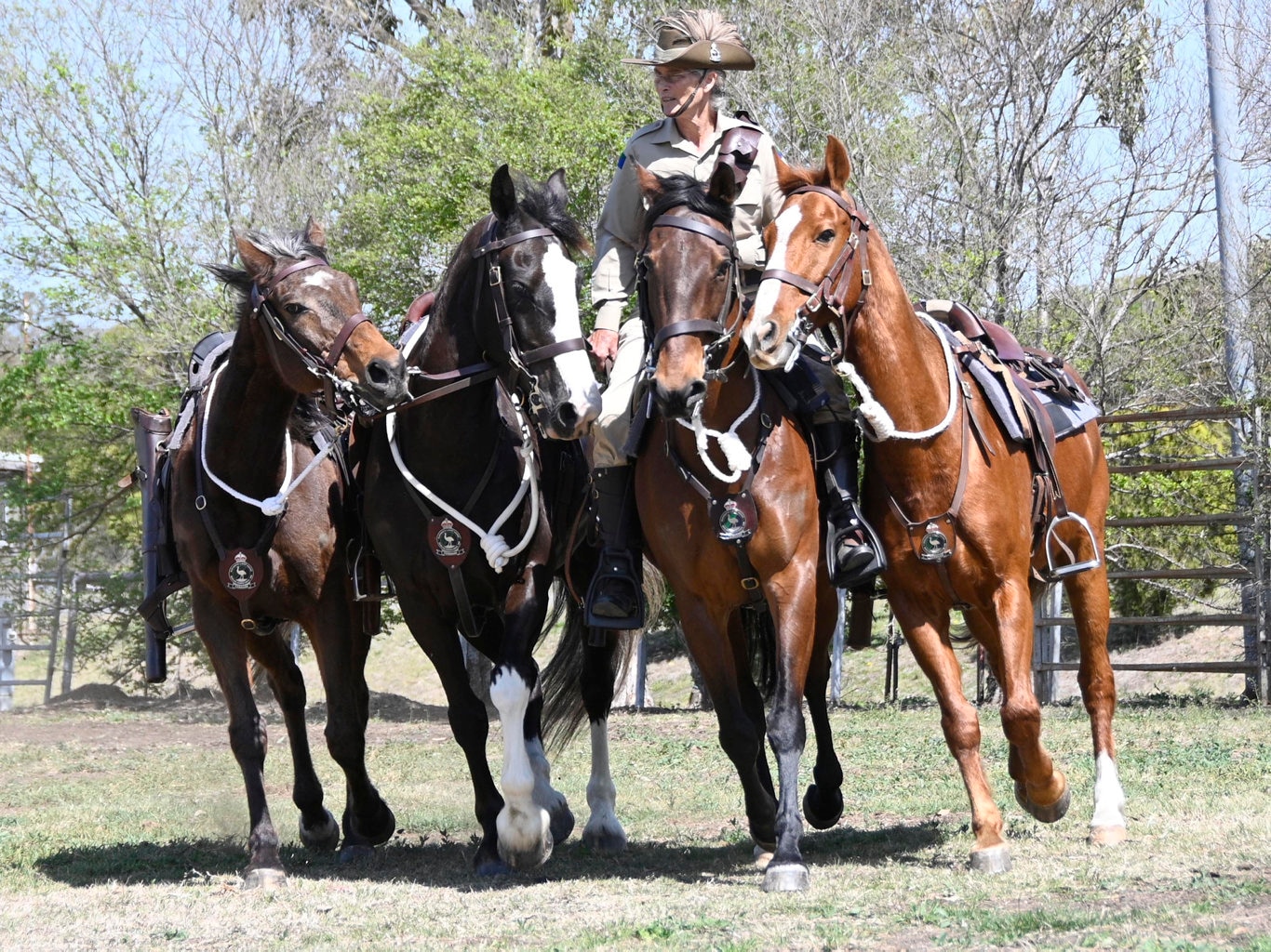 Queensland Mounted Infantry Challenge at the Toowoomba Showgrounds. Wendy Ingle, 11th Light Horse Regiment Darling Downs Troop.