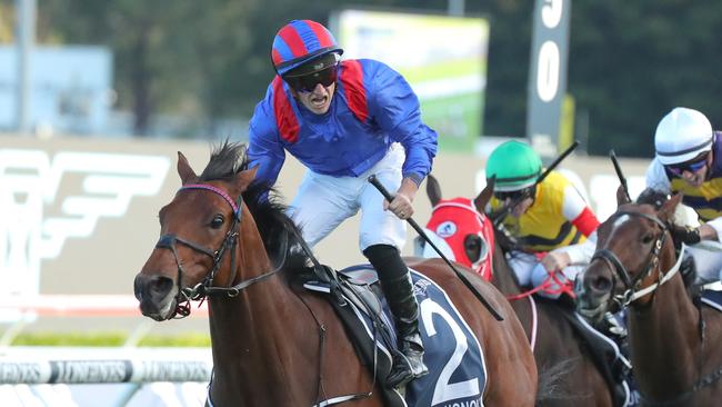 Dubai Honour was a class above in the Queen Elizabeth Stakes. Picture: Jeremy Ng/Getty Images