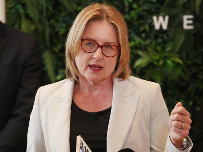 MELBOURNE, AUSTRALIA- NewsWire Photos JANUARY 23, 2025: Victorian Premier Jacinta Allan holds a press conference at a housing development site in Werribee to talk about local road upgrades.  NewsWire/ David Crosling