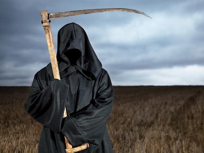 Portrait of a Grim Reaper Standing in the Meadow