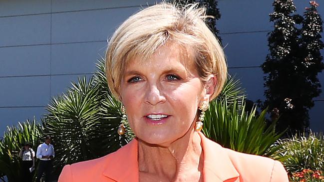 Julie Bishop campaigning in Bennelong ahead of Saturday’s by-election. Picture: John Feder