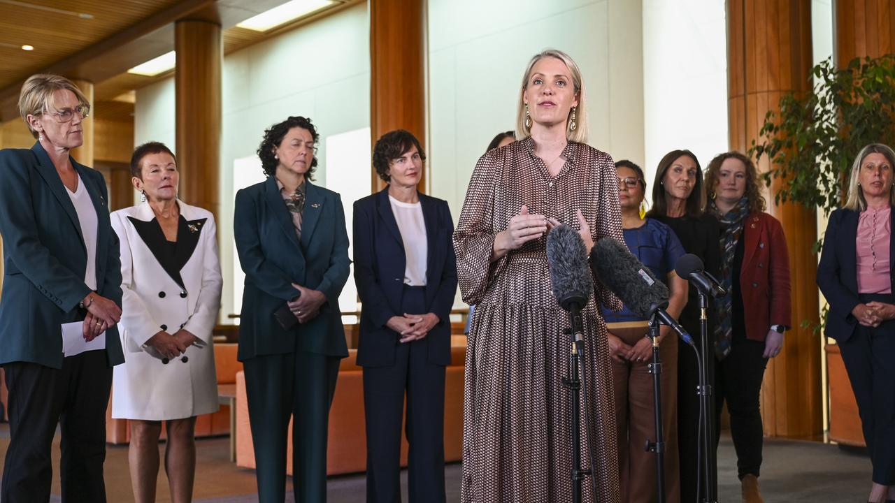 CEO of The Parenthood Georgie Dent joined female leaders this week to urge reforms to the early childhood education and care sector . Picture: NCA NewsWire / Martin Ollman