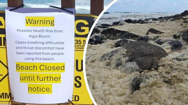 The cause of a mystery Fleurieu beach foam killing wildlife and causing illness in humans has been identified.