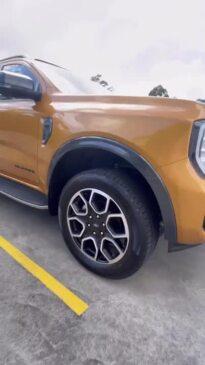 Ford Everest Wildtrak First Look