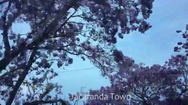 Jacaranda Town - winner of Jaca Heart story competition