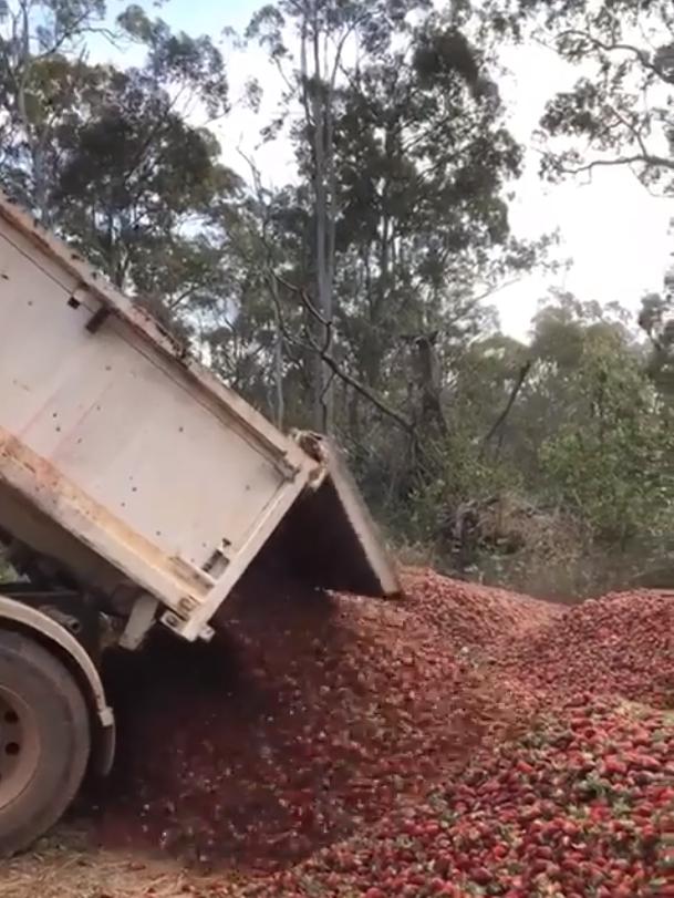 Watching footage of truckloads, of the sweet, luscious produce being dumped almost brought a tear to my eye