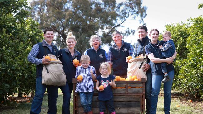 Gone fishing: Fisher family members Ronan, Mel, Glenda, Lex, Lynton and Aimee, holding Jack, with Campbell and Tayce in the front, on their citrus farm at Narrung, which supports the entire family.