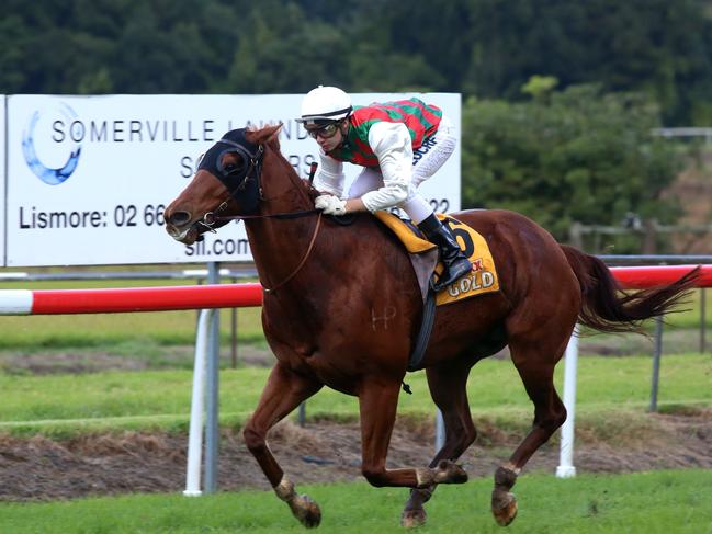 Kirk Matheson rode Tumut River for Lismore trainer Daniel Bowen at Grafton today. Photo File.