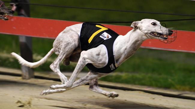 Greyhound Racing NSW’s head office has lost two key staff members.