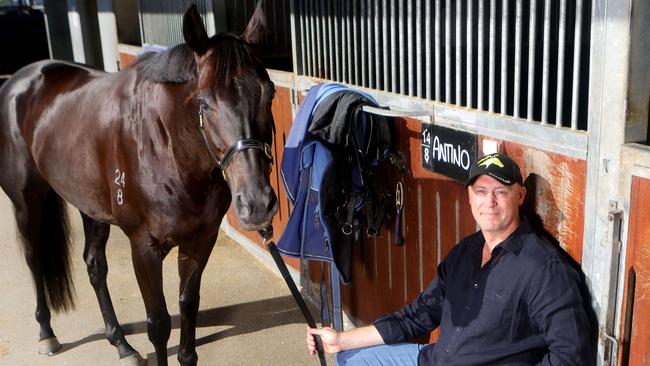 Tony Gollan and Antino. Picture: Steve Pohlner