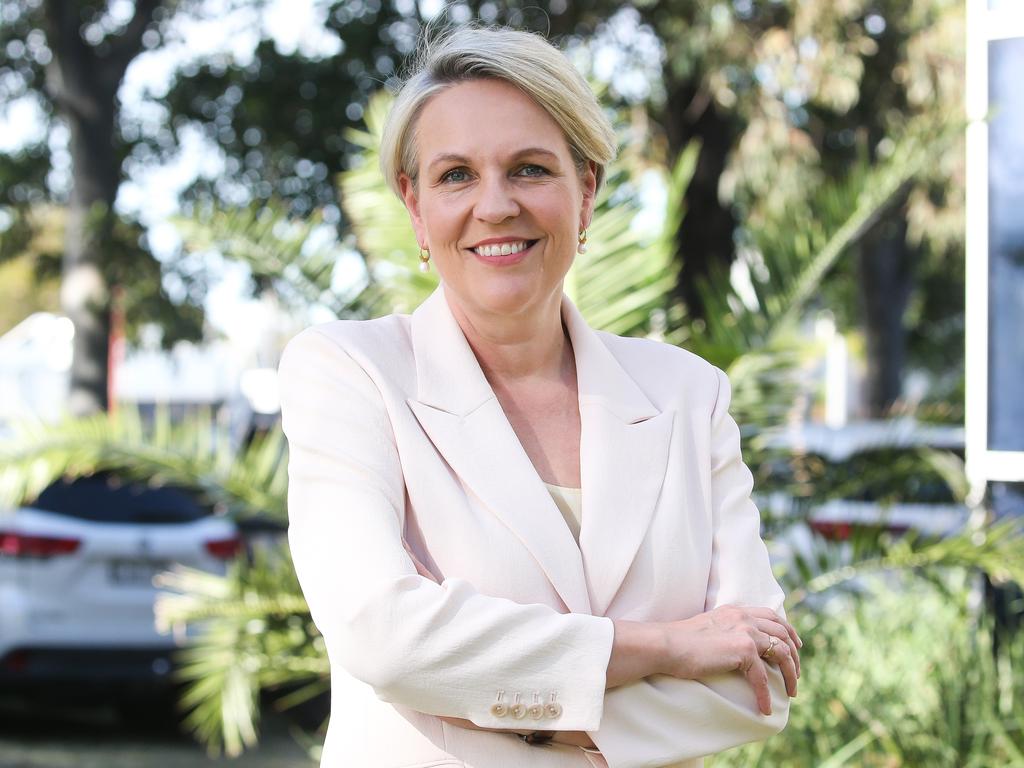 Tanya Plibersek said she was limited in what evidence she could provide which informed her decision. Picture: NewsWire / Gaye Gerard