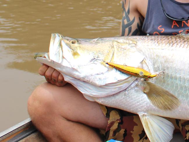 Matt Graham show's off his 118cm barramundi caught on Lake Tinaroo.