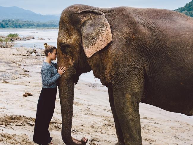 Elephants in Luang Prabang, Laos. Picture: Melissa Findley/Helloworld Sunday Escape Linda Silmalis story