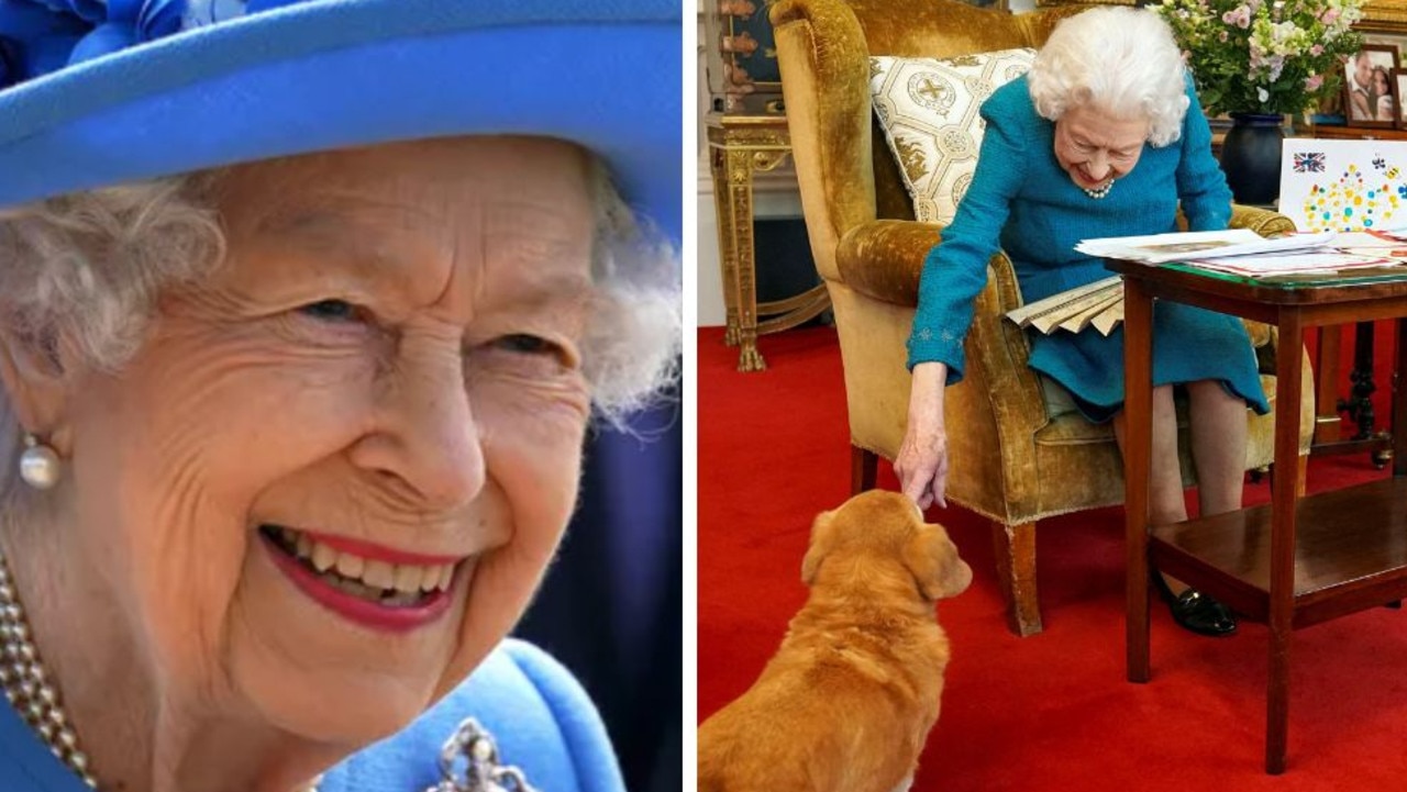 Big question about Queen’s corgis answered