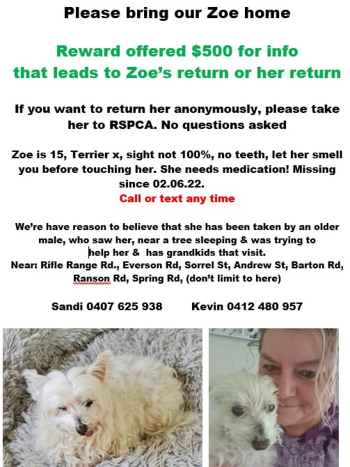 Sandi Smith has put out a Facebook notice to find her missing dog Zoe in Gympie.