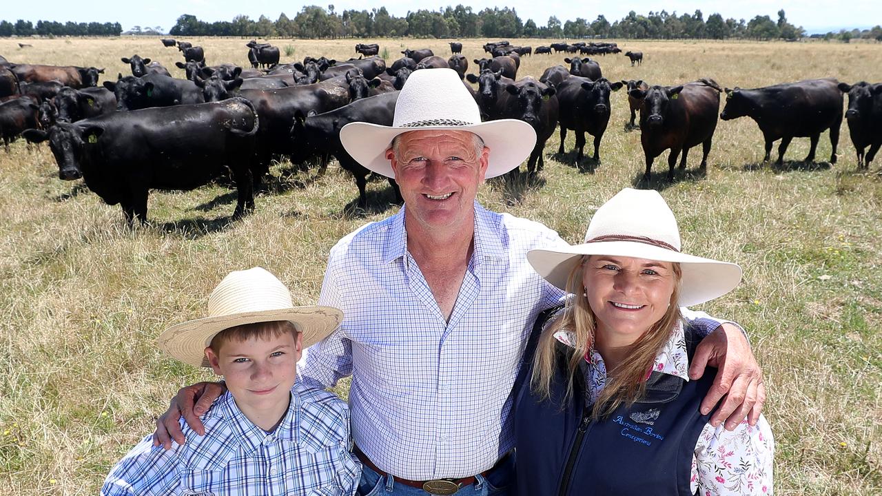 How Wattelwood Angus run their thriving business