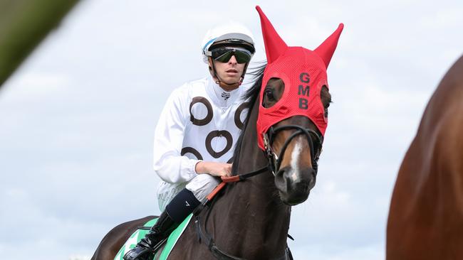 Lunar Flare on the way to the barriers prior for the running of the Turnbull Stakes at Flemington on October 7. Picture: Getty Images