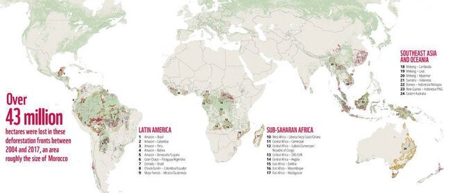 Eastern Australia has been included in a list of 24 deforestation fronts. Picture: WWF