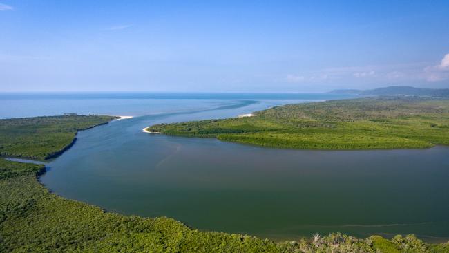 Mullumbimby-based Rainforest Rescue is working to save areas around the Daintree. PHOTO: Martin Stringer