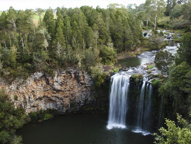 Dangar Falls, Dorrigo located on the North Coast.Two kilometres north of Dorrigo town centre is Dangar Falls, a beautiful 30-metre waterfall set amidst scenic agricultural and dairy farmland. There's a car park, a viewing platform, picnic tables and a walking trail that leads you to the river at the bottom of the waterfall. The viewing platform offers a great vantage point and excellent photo opportunity of the falls. Dangar Falls is signposted from Dorrigo town.Photo - Tourism NSWEscape 25 June 2023travel cv