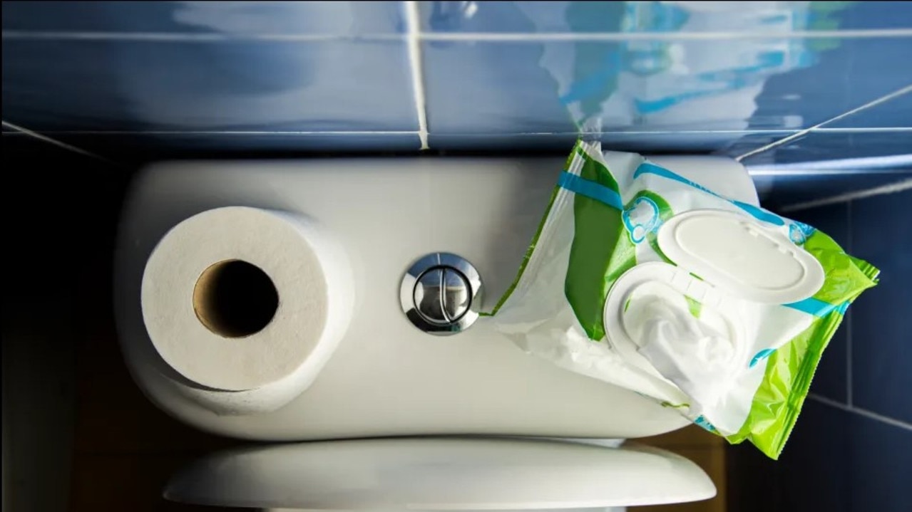 Anne Simmons claimed disposable wet wipes weren't 