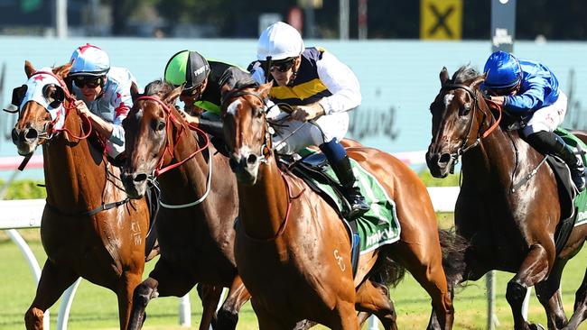 Lady Laguna is in career-best form heading into the Doncaster Mile Picture: Jeremy Ng/Getty Images