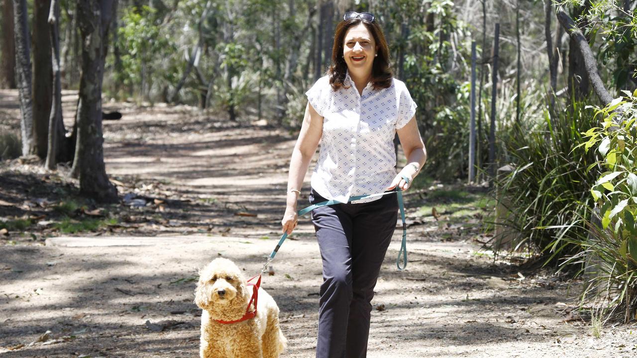 BRISBANE, AUSTRALIA - November 1, 2020: Queensland Premier Annastacia Palaszczuk was seen walking her dog Winton in Brisbane on the morning after the state election. Picture: NCA NewsWire/Tertius Pickard