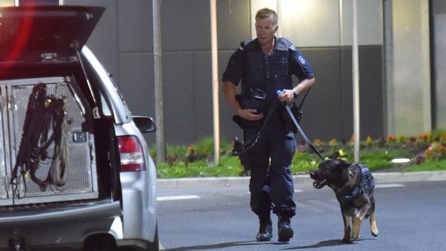 The dog squad packs up. Picture: Tony Gough