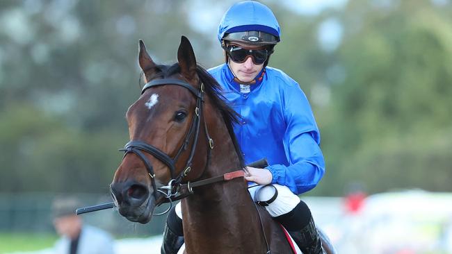 SYDNEY, AUSTRALIA - AUGUST 17: James McDonald riding Tom Kitten wins Race 8  Precise Air Handicap during 
