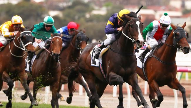 Grunt returned to winning form at Flemington. Picture: AAP