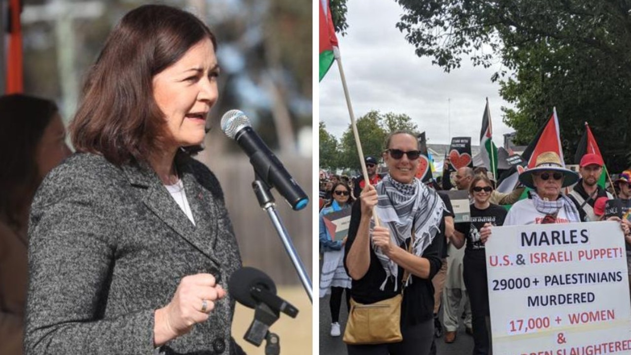 More council candidates pledge Palestine support