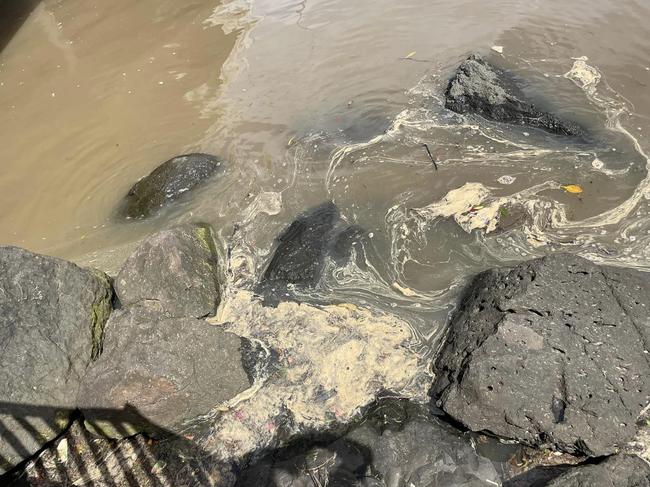 Tallebudgera Creek was closed on Saturday amid water quality concerns. Photo: Cathy Osborne