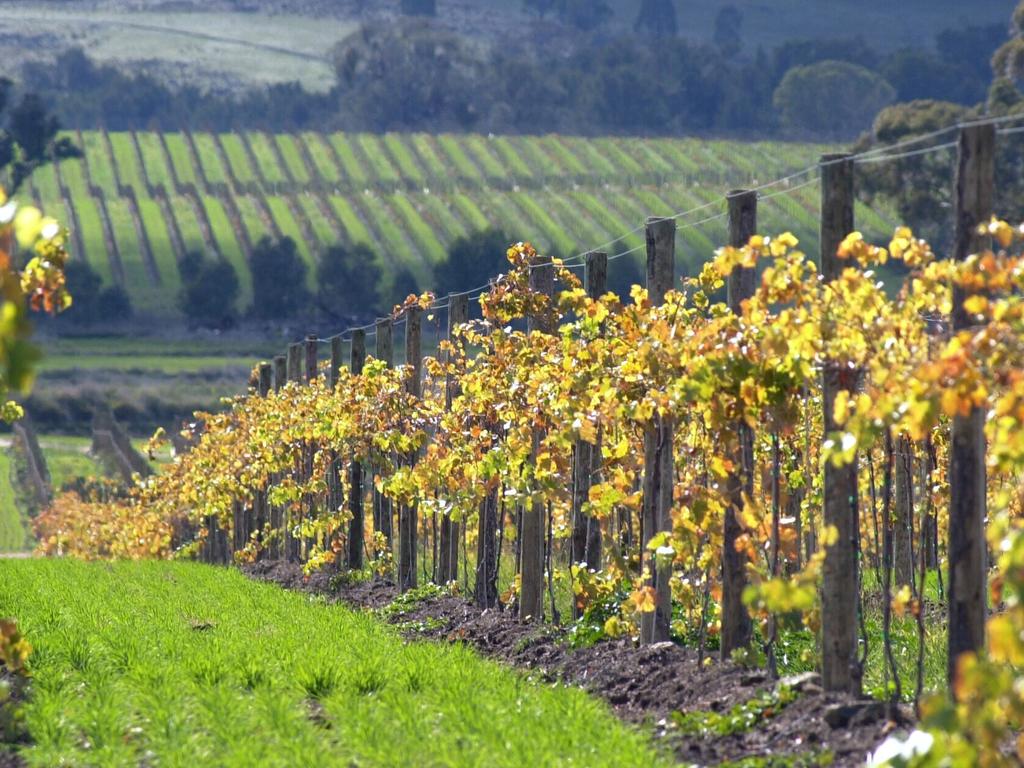 Over the Blue Mountains in NSW, you’ll find the ultimate destination for food and wine lovers. Picture: Supplied