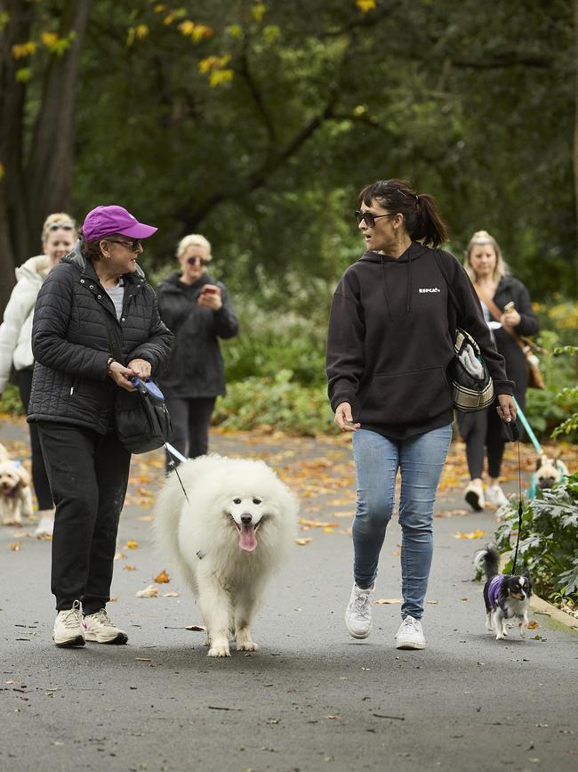 Million Paws Walk in the Adelaide Botanic Gardens, Sunday, May 28, 2023. Picture: Matt Loxton