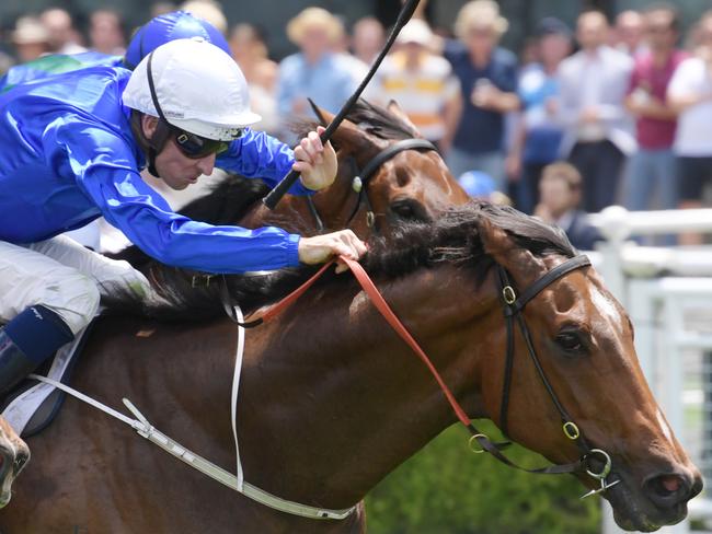 Deprive takes out the Summer Racing Handicap. Picture: AAP