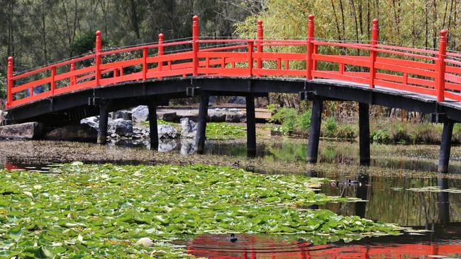 The Japanese garden.