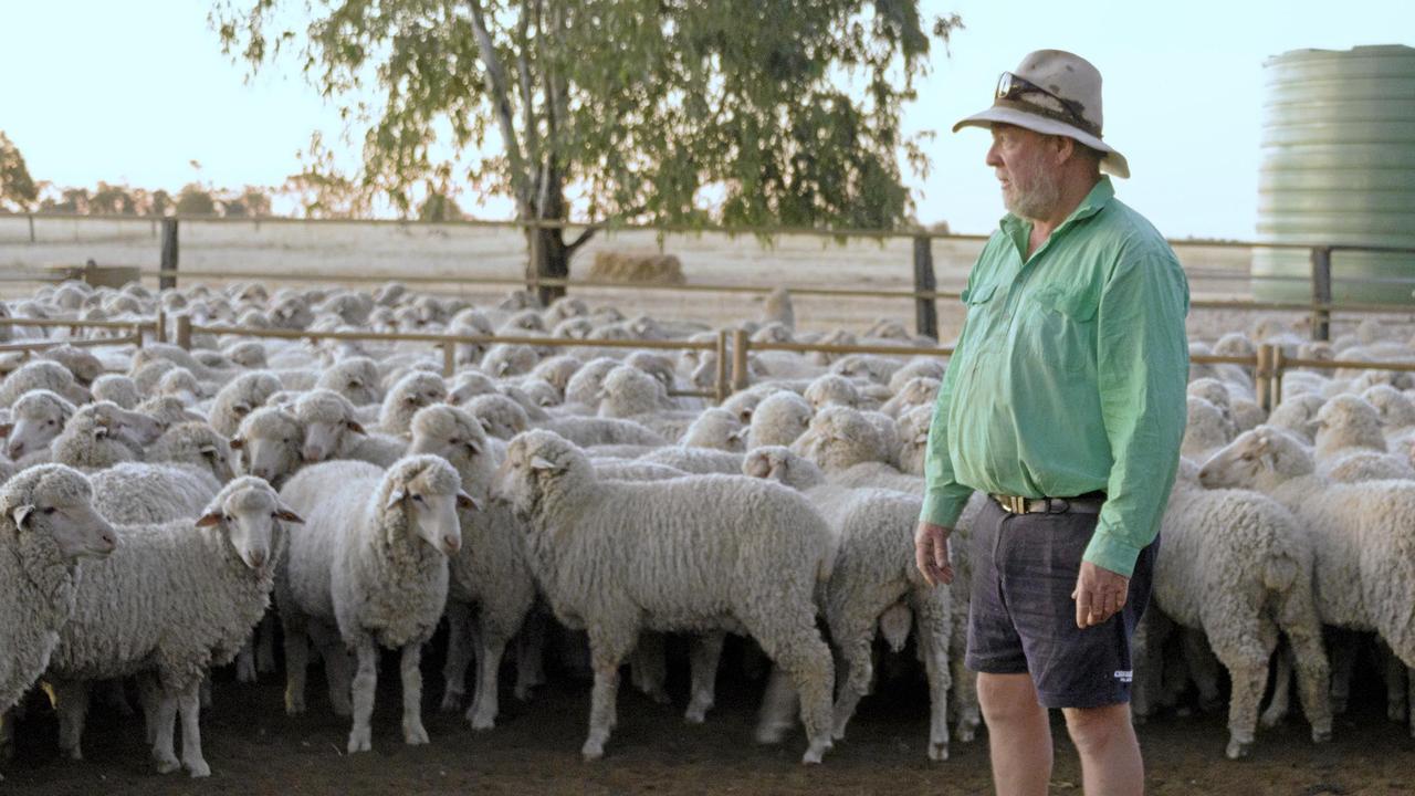 sheep-farmer-enjoys-booming-industry-the-weekly-times