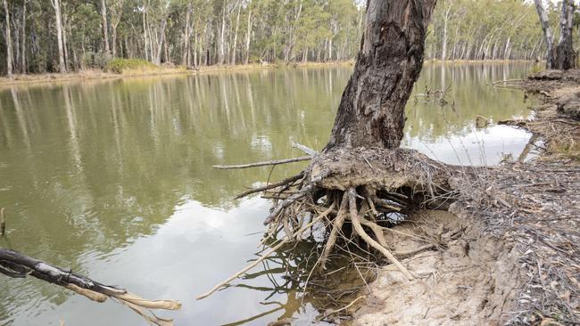 The Murray Darling Basin Authority is about to embark on a reconciliation of the Basin Plan that is set to cut irrigators’ take.