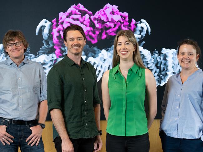 PINK1 research team L–R: Professor David Komander, Dr Nicholas Kirk, Dr Sylvie Callegari and Dr Alisa Glukhova. Image: WEHI