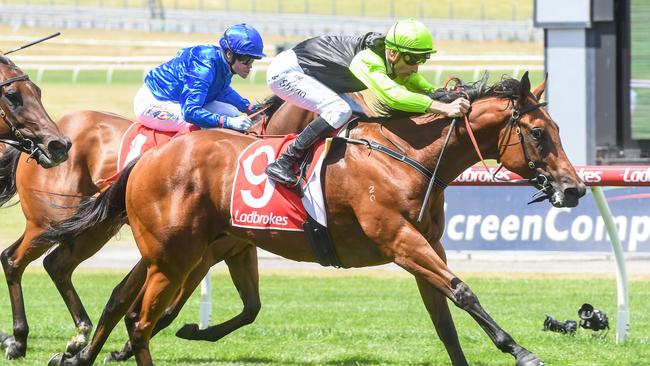 Torsheen is a half sister to Group 3 winner De Sonic Boom (pictured). Picture: Racing Photos via Getty Images