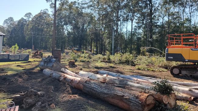 Land clearing that took place around the Woombah Woods Caravan Park.