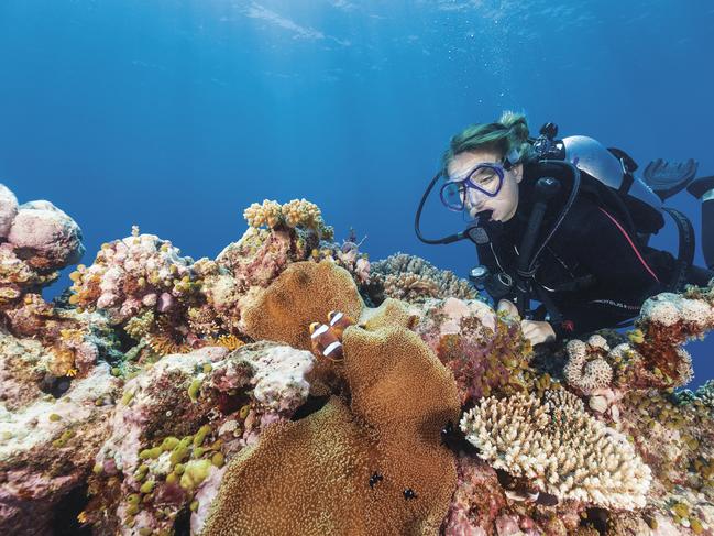 Scuba diving at Agincourt Reef in Tropical North Queensland.