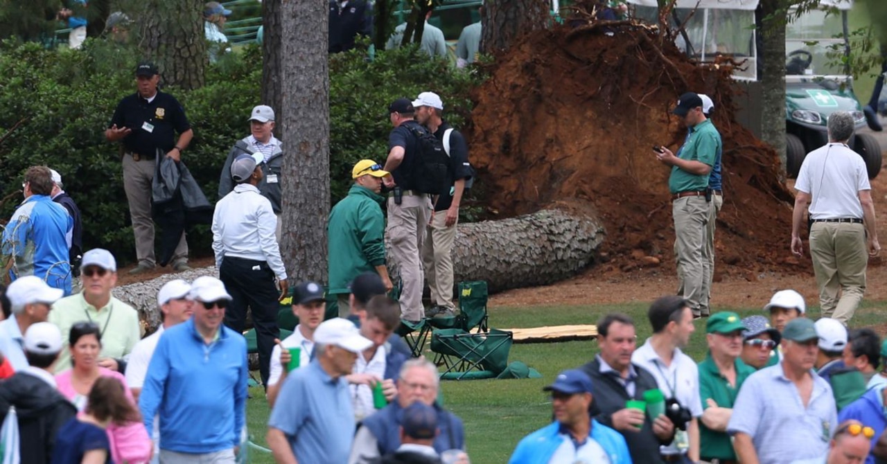 Three trees fell at Augusta National Golf Course during the second round of the Masters.