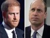 ‘Very thick’: Clue behind new Harry warning