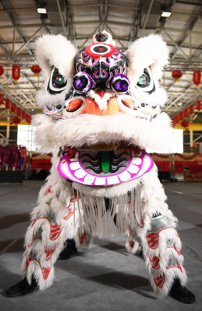 A Lion dancer performs for Chinese New Year hosted by the Chung Wah Society of Darwin at the Marrara Netball Stadium. Picture: Che Chorley