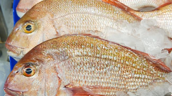 Whole snapper sell at fish market. Fish can be contaminated with bacteria which causes food poisoning.