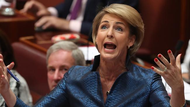 Small business Minister Senator Michaelia Cash. Picture: Kym Smith